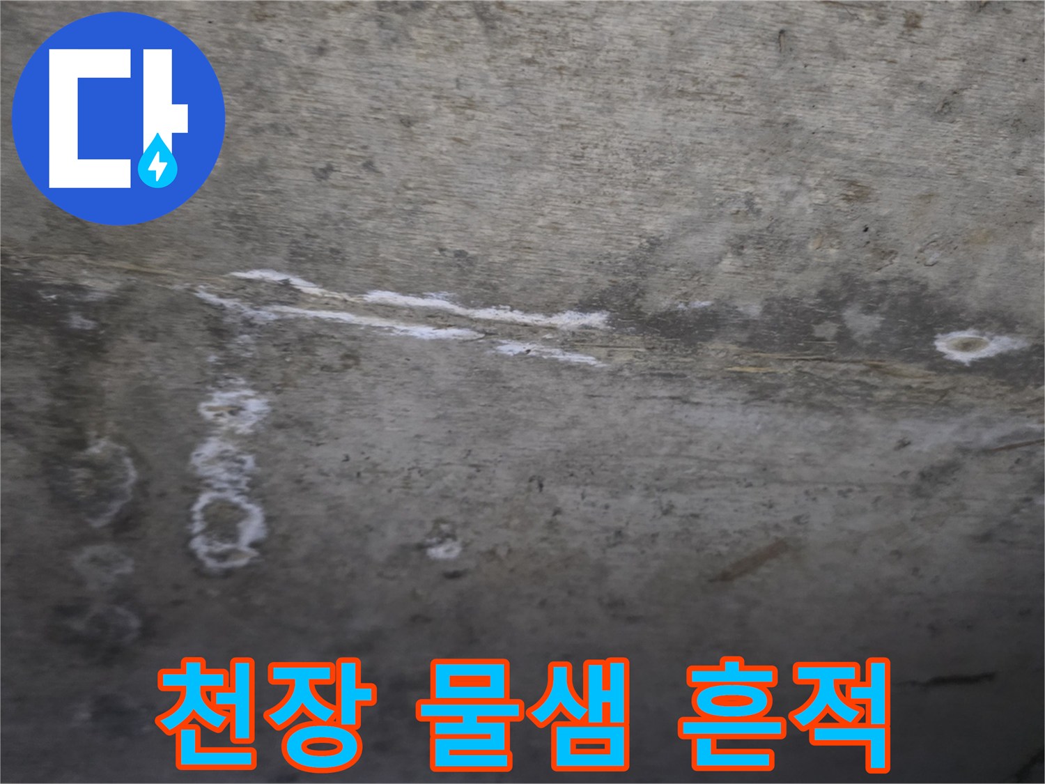 하얀 얼룩이 번져 있는 화장실 천장 콘크리트 부위