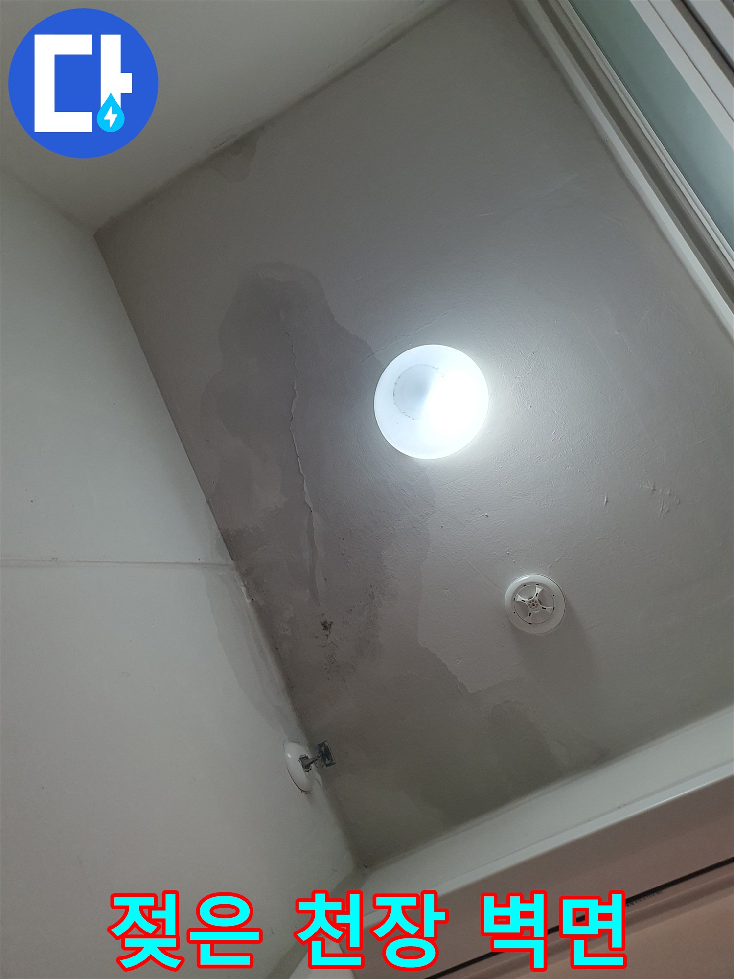 세탁실 천장 조명 아래로 번진 넓은 누수 변색 부위