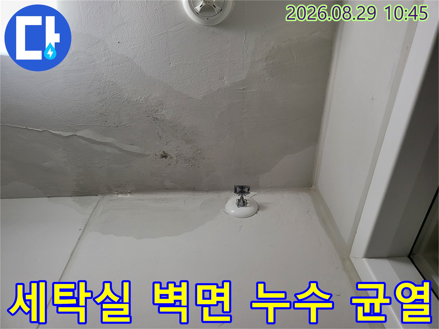 세탁실 천장 하단-배관 주변의 균열과 습기로 인한 변색 부위