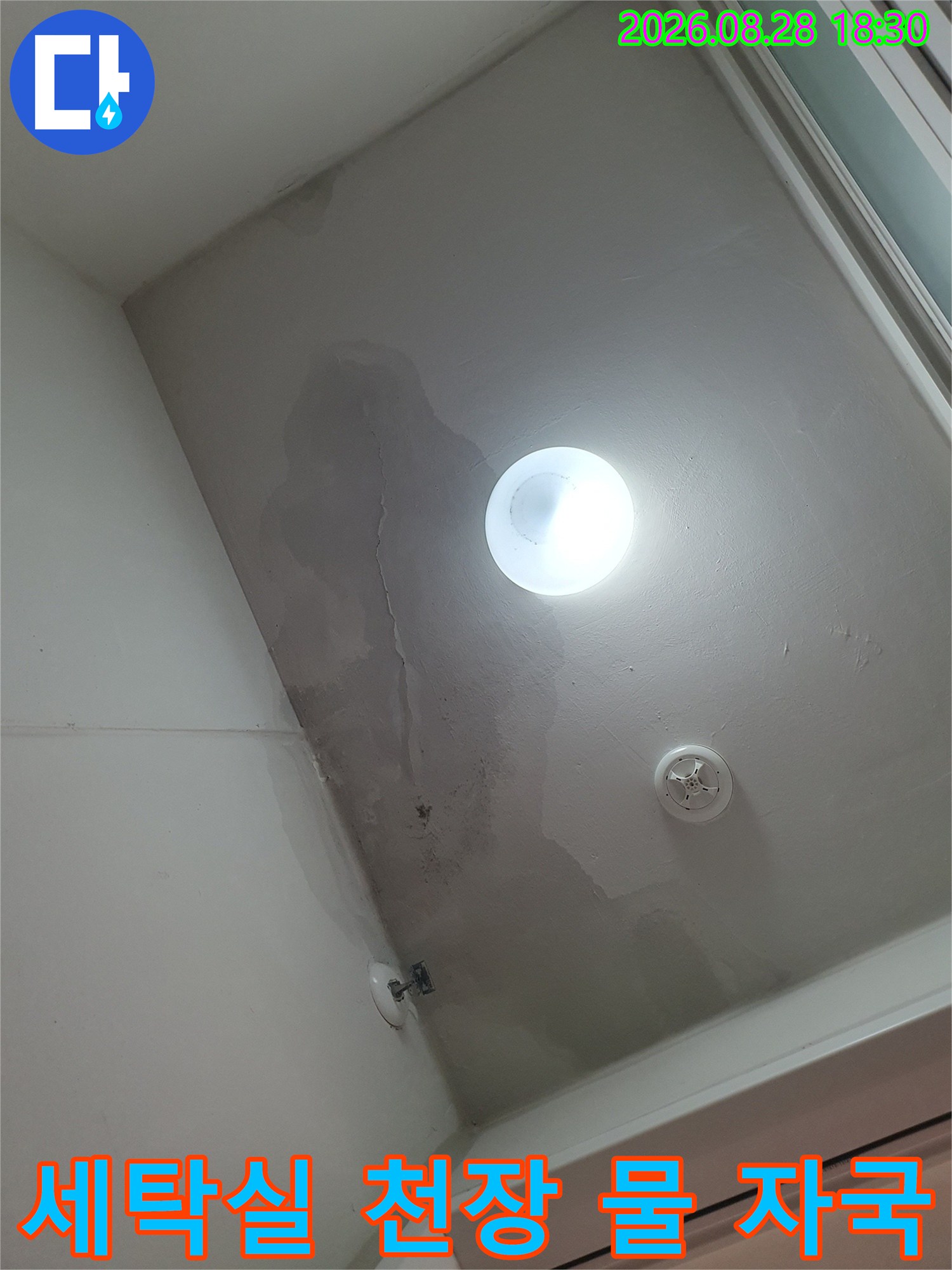 천장 조명 주변의 짙은 수분 얼룩과 벽면 침투 흔적