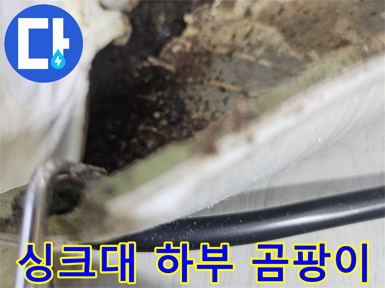 부천 상동 현장의 싱크대 하부장 벽면 곰팡이와 습기 상태