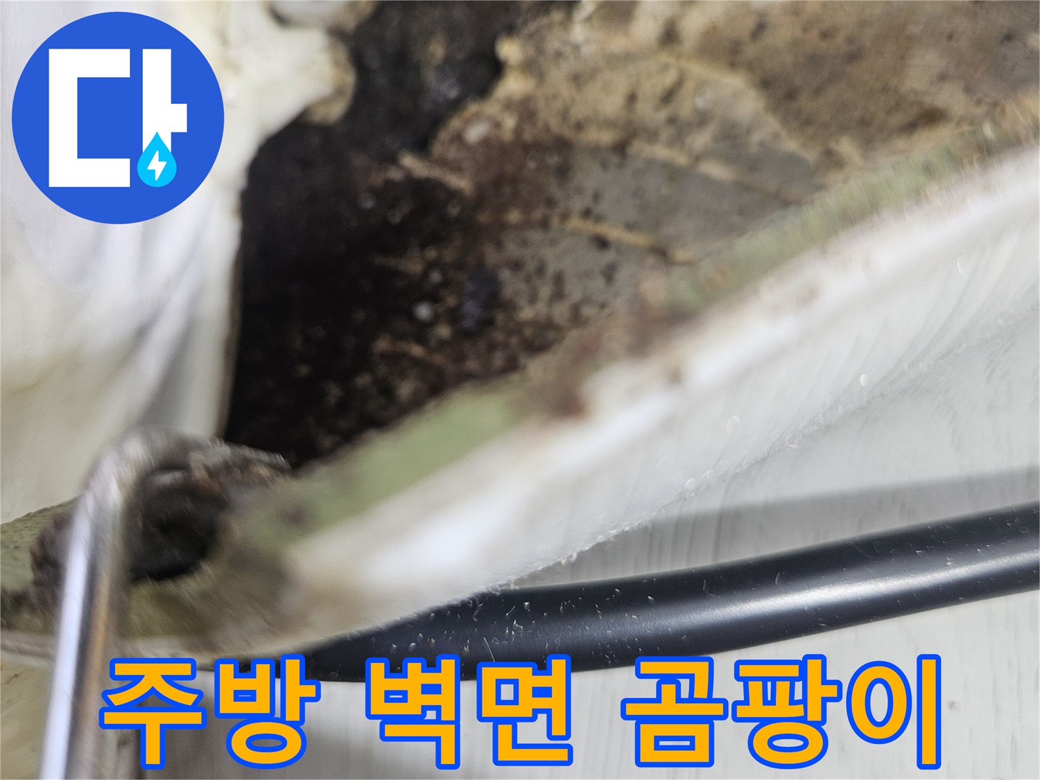 싱크대 내부 벽면-곰팡이와 습기가 발견된 상태