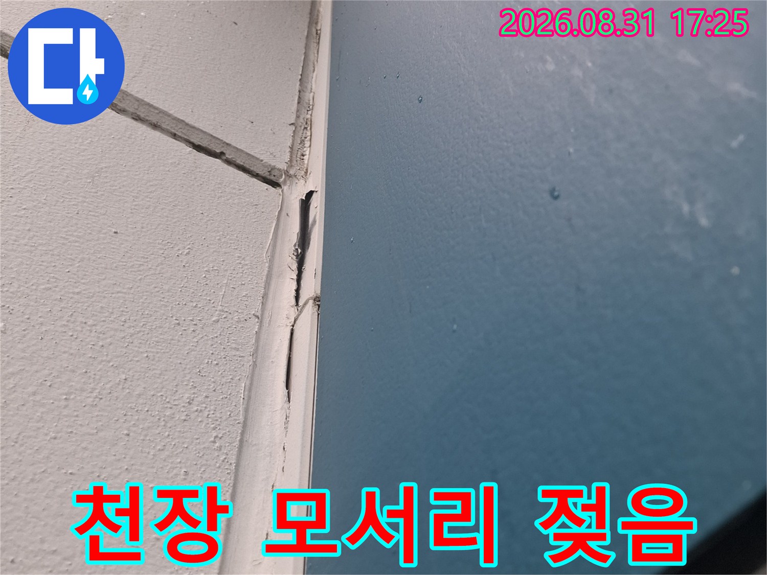 천장과 벽의 경계 지점에 나타난 물 얼룩 현상