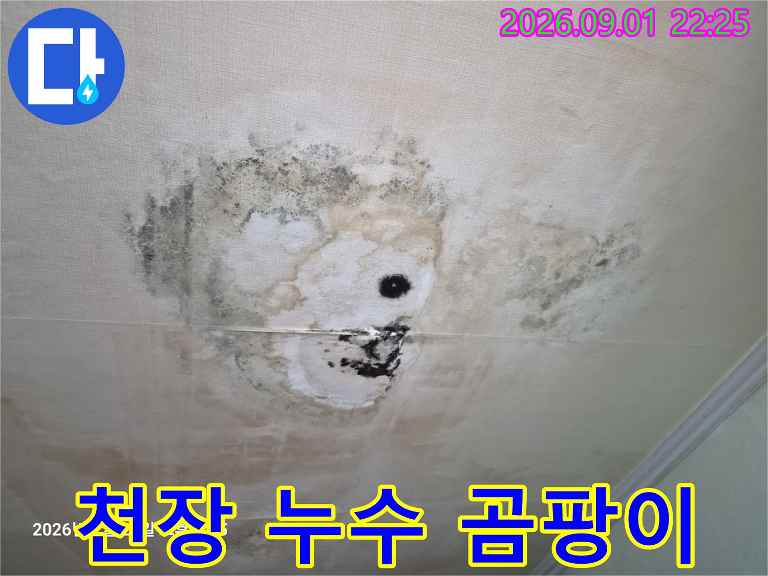 심한 변색과 곰팡이가 나타난 거실 천장 벽지