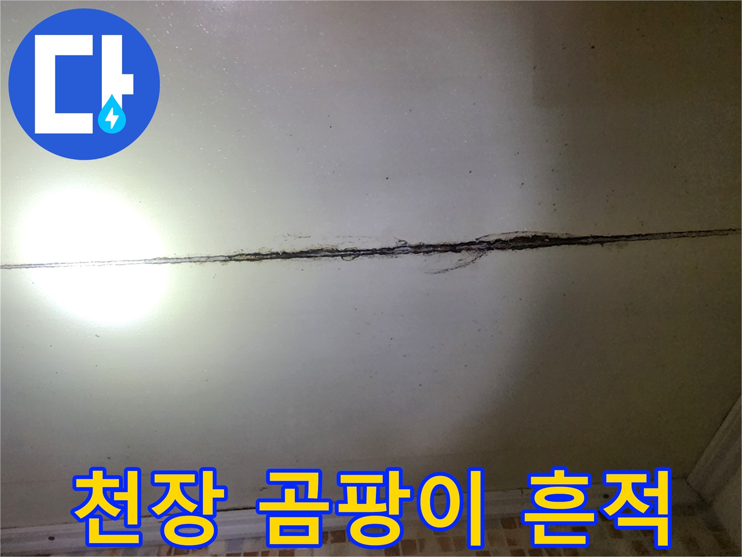 천장 마감재 사이로 번진-검은색 곰팡이와 습기 자국