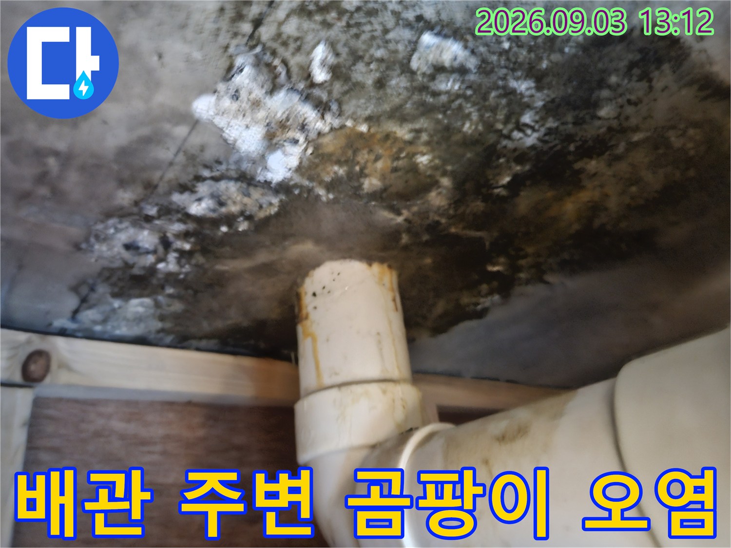 슬라브 천장-배관 주위의 심각한 곰팡이 오염 상태