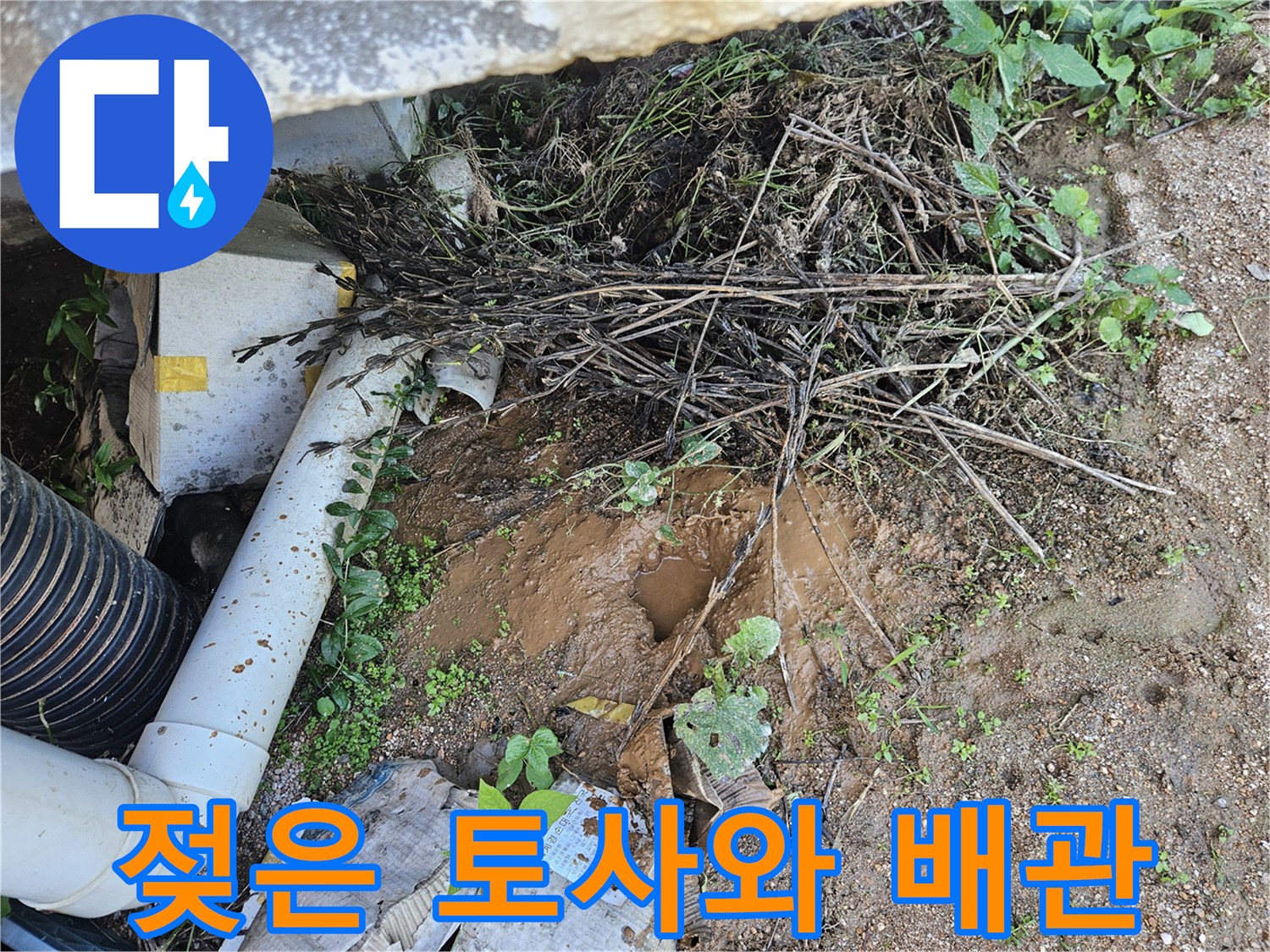 배관 파손으로 인해 흙이 젖어 있는 누수 현장