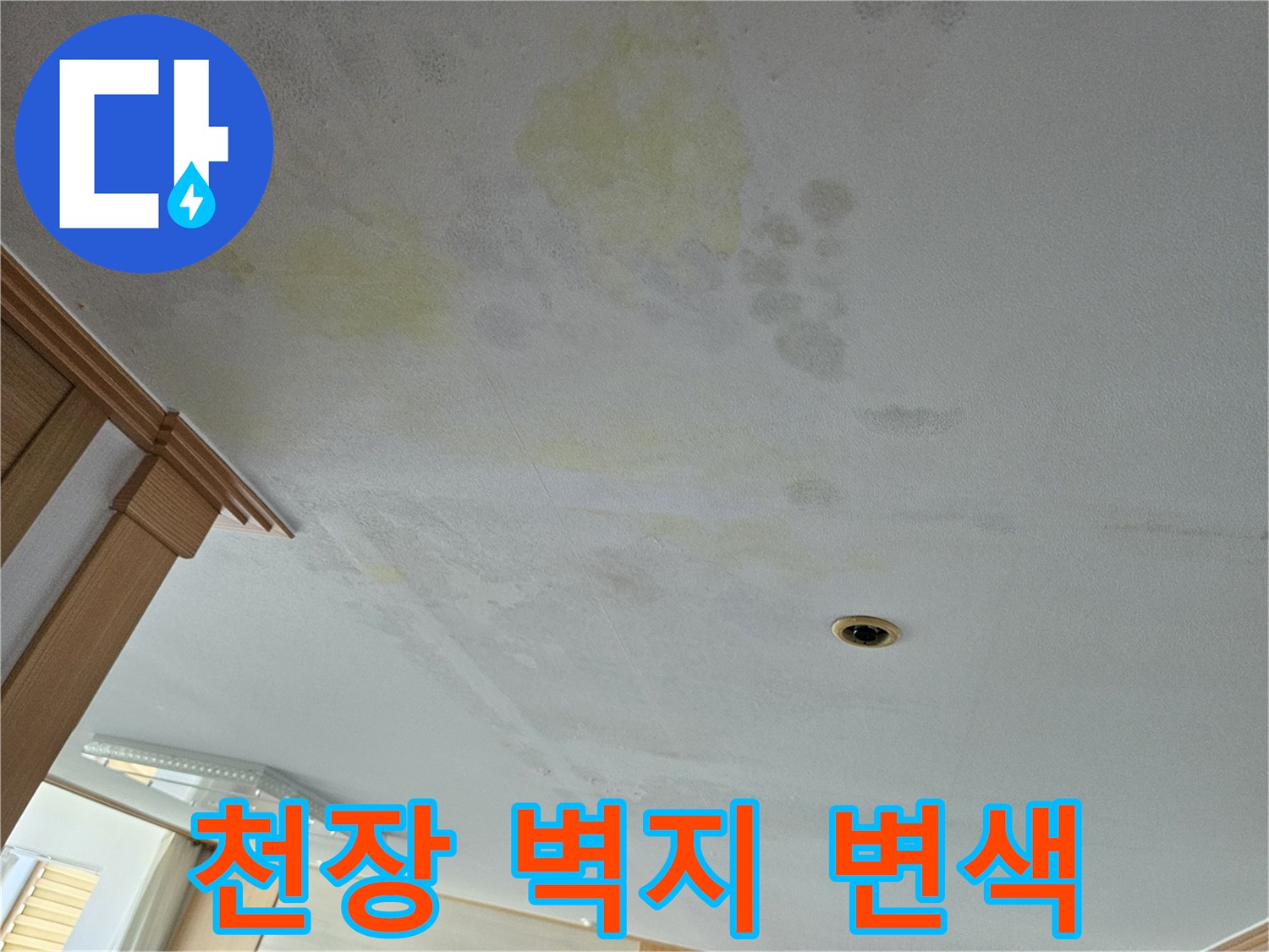 배관 역류로 인해 황색으로 변해버린 천장 마감재 내부 상태