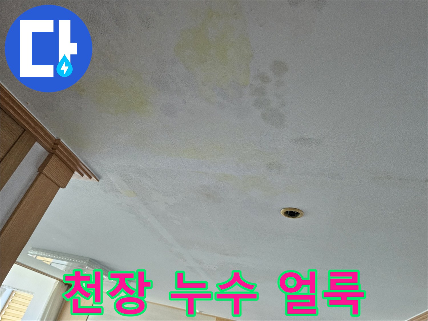 용인 처인구 아랫집 거실 천장에 발생한 누수 흔적과 황색 얼룩 상태