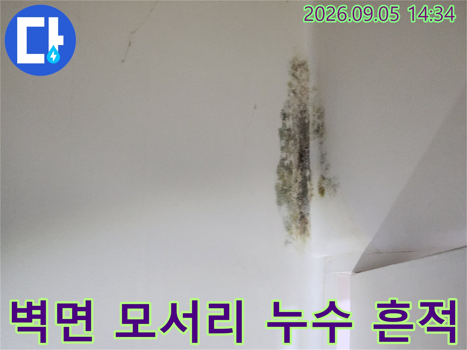 신사동 현장-누수로 인해 변색된 천장 벽지 및 곰팡이