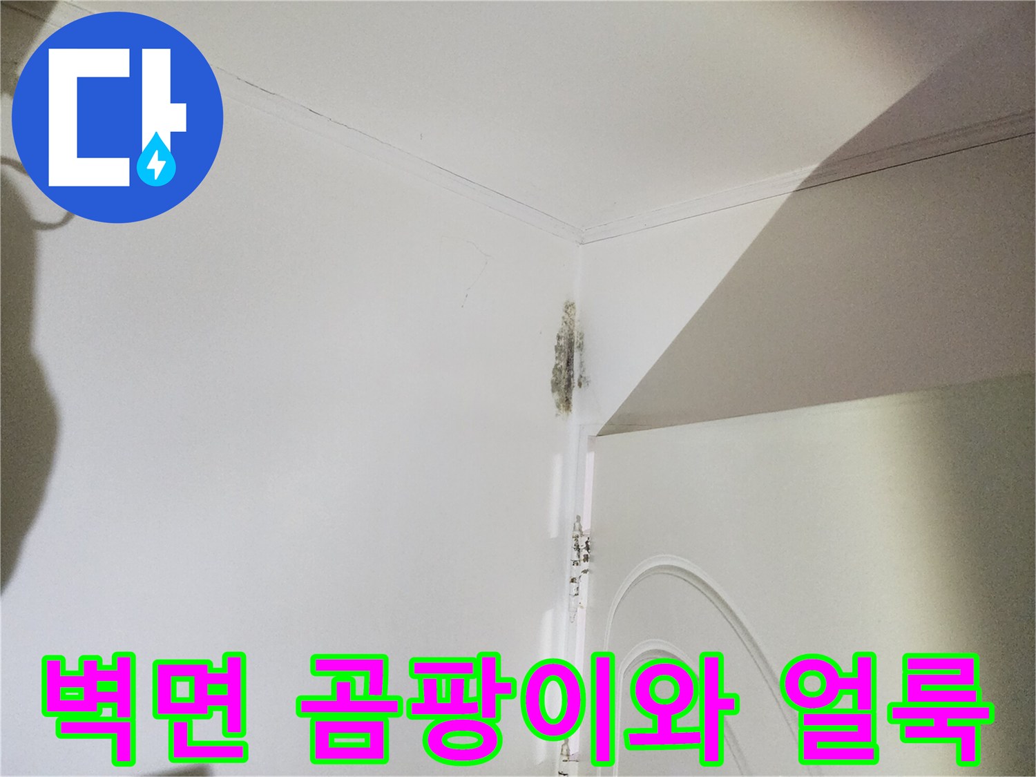 은평구 신사동 현장-벽면 상단 곰팡이 및 페인트 들뜸 현상