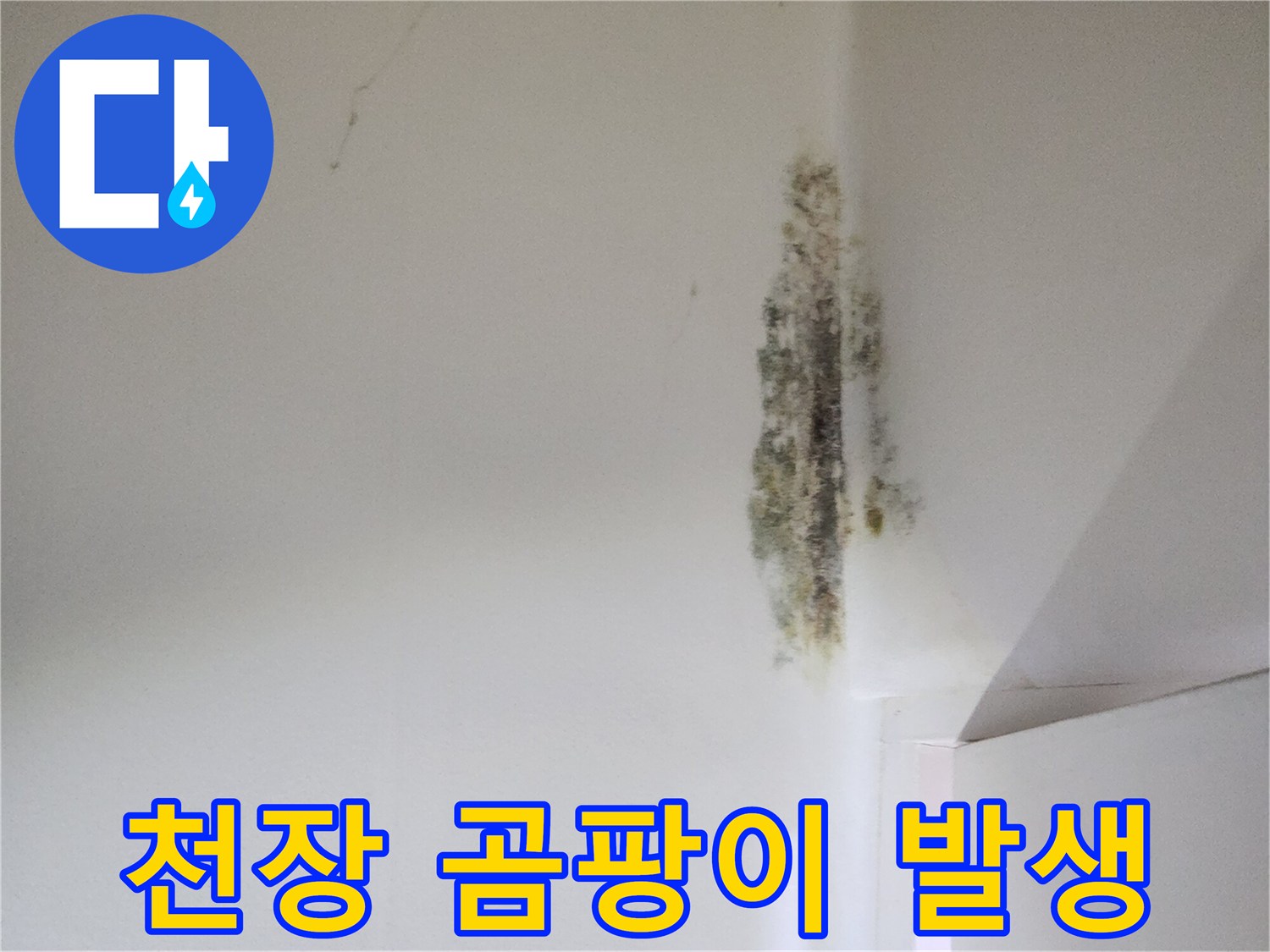 천장과 벽면 경계에 나타난 심한 곰팡이 흔적