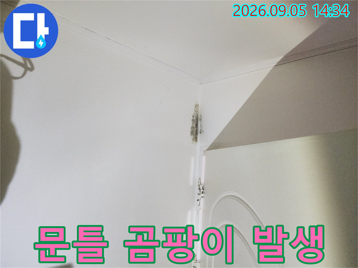 화장실 문틀 상단부-벽지 변색과 곰팡이가 관찰되는 모습