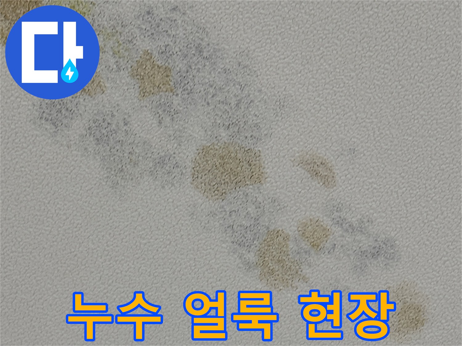 배관 누수로 인해 발생한 천장 내부의 젖은 흔적과 오염