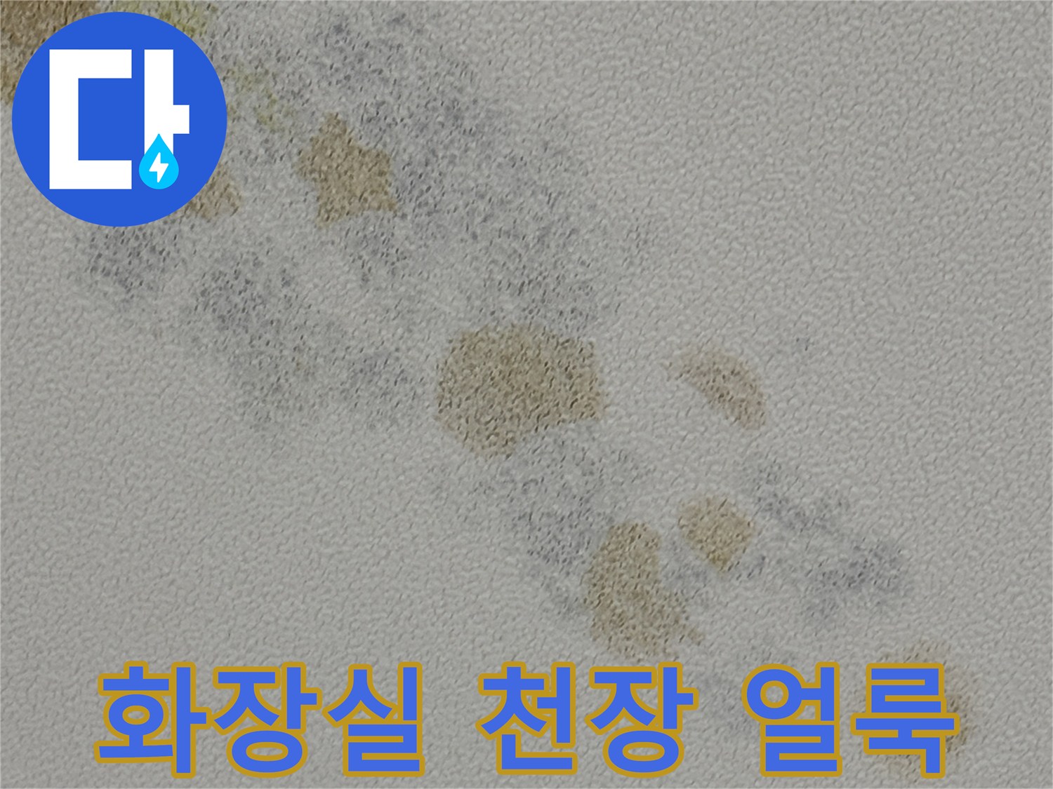 용인 동천동 화장실 천장 부위에 나타난 누수 흔적과 얼룩
