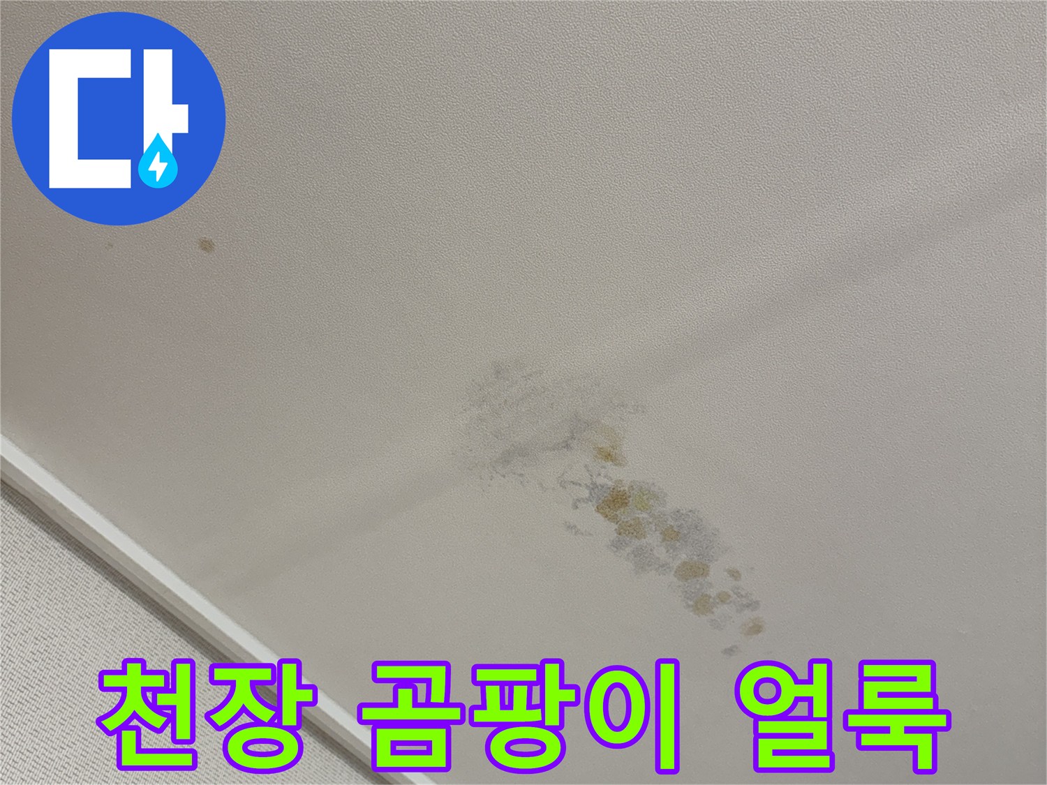 용인 수지구 동상동 아파트 천장에 발생한 갈색 곰팡이와 습기 흔적