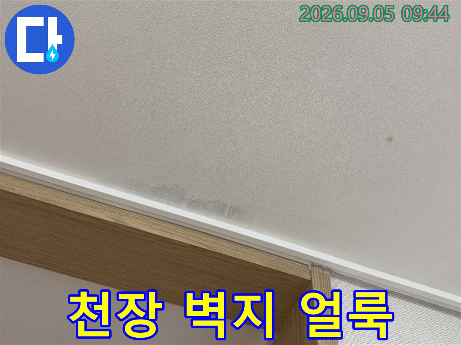 용인 수지구 동천동 아파트 천장 벽지에 발생한 누수 흔적과 습기 상태