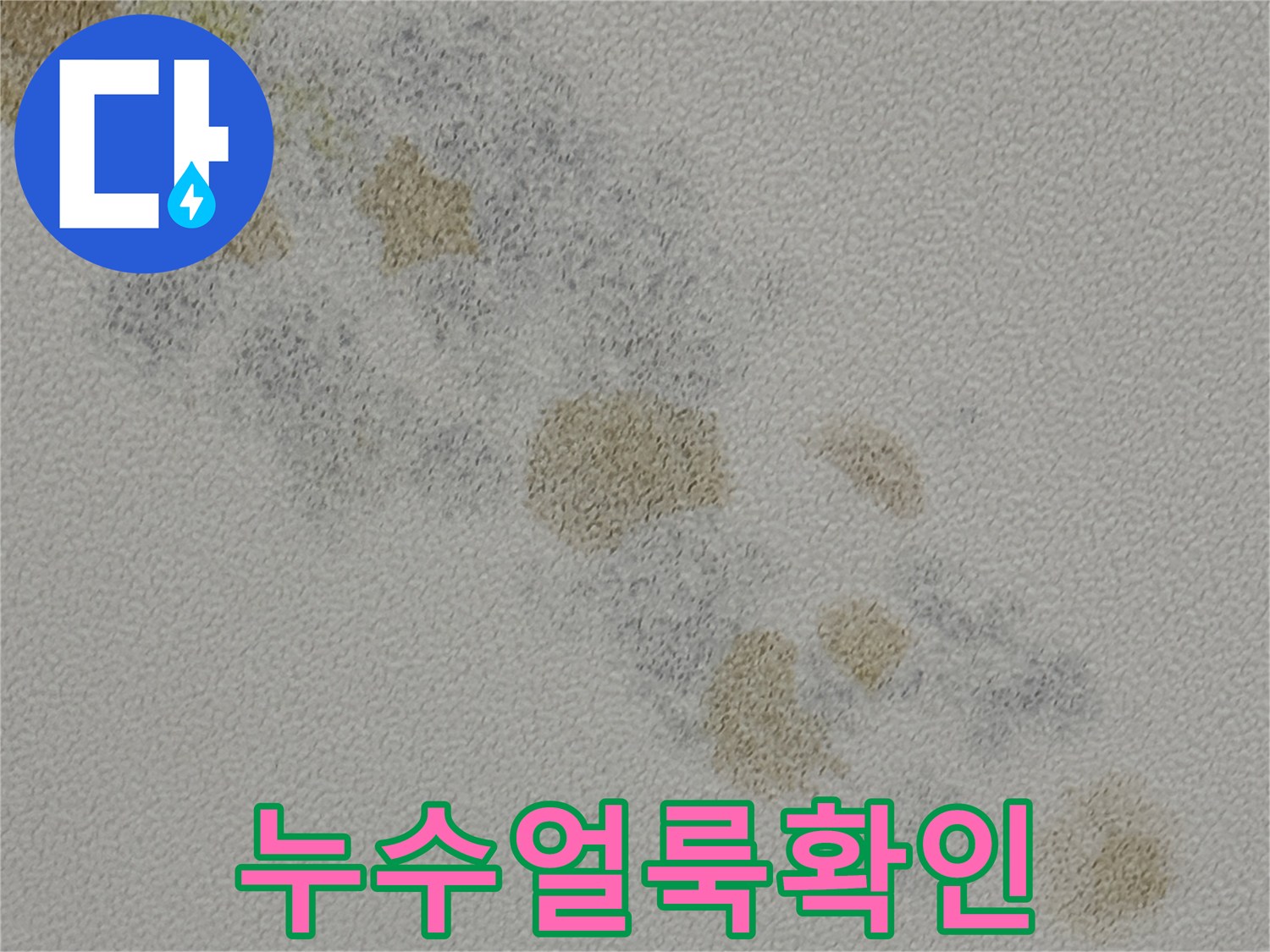 화장실 천장 내부 - 습기로 인해 갈색으로 변한 부위