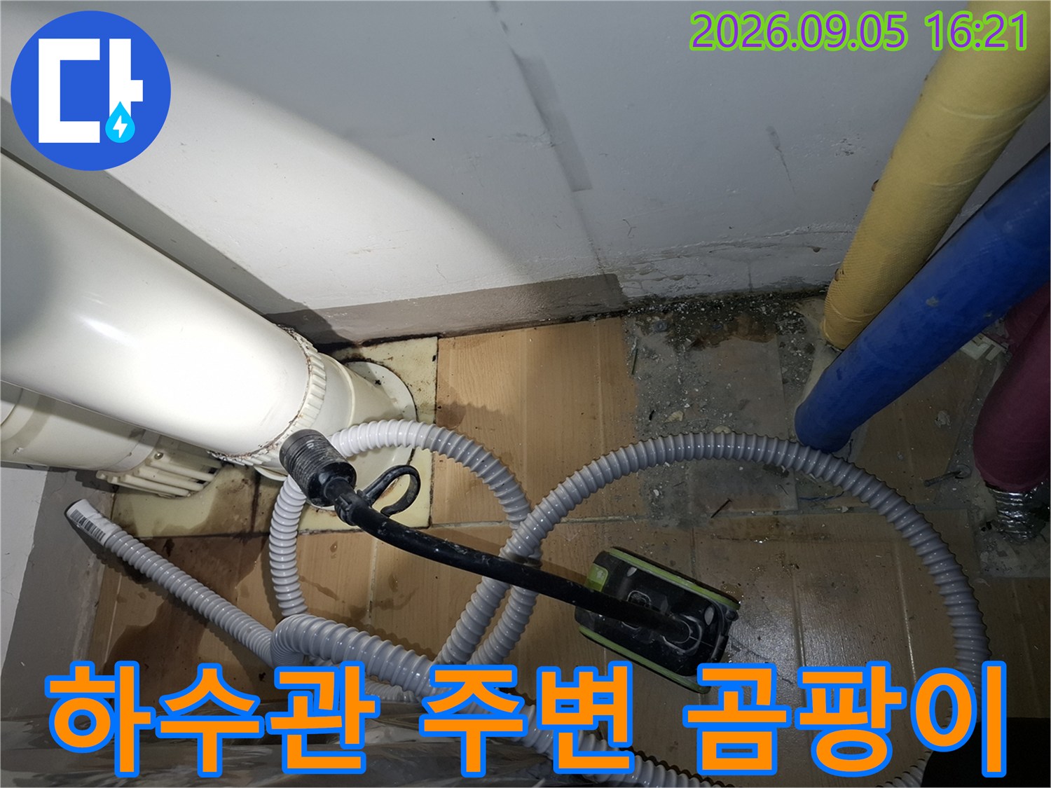 배관 주변 타일 틈새에 발생한 곰팡이와 누수 흔적을 촬영한 사진