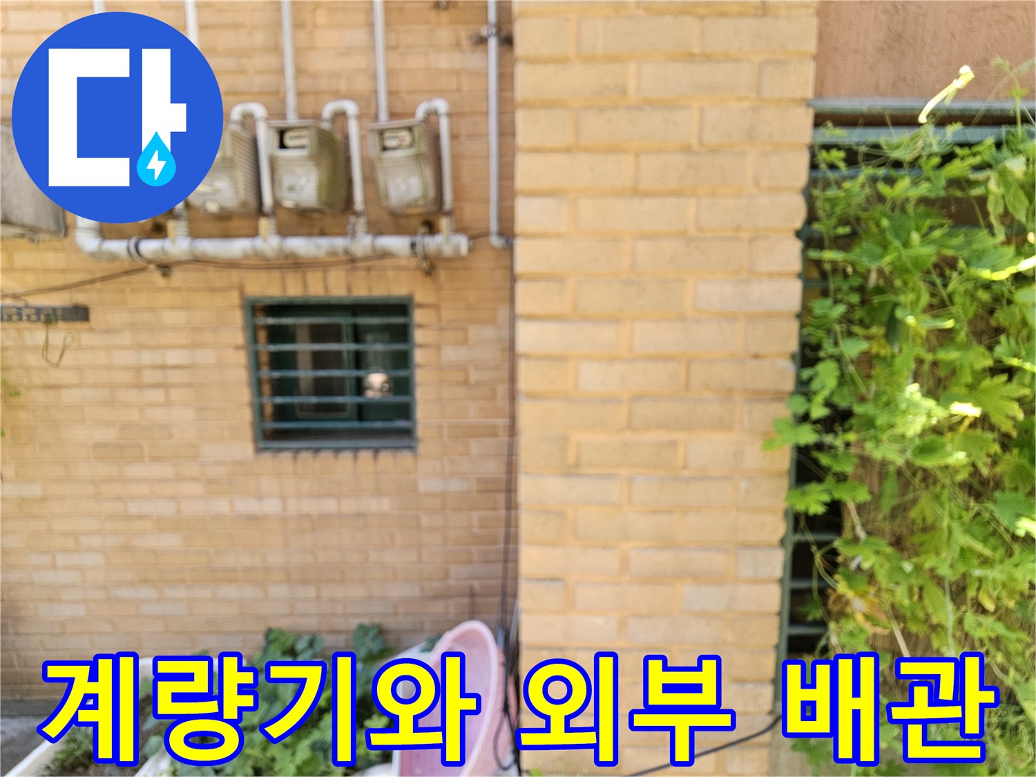 벽면에 고정된 수도 계량기와 수직으로 연결된 배관