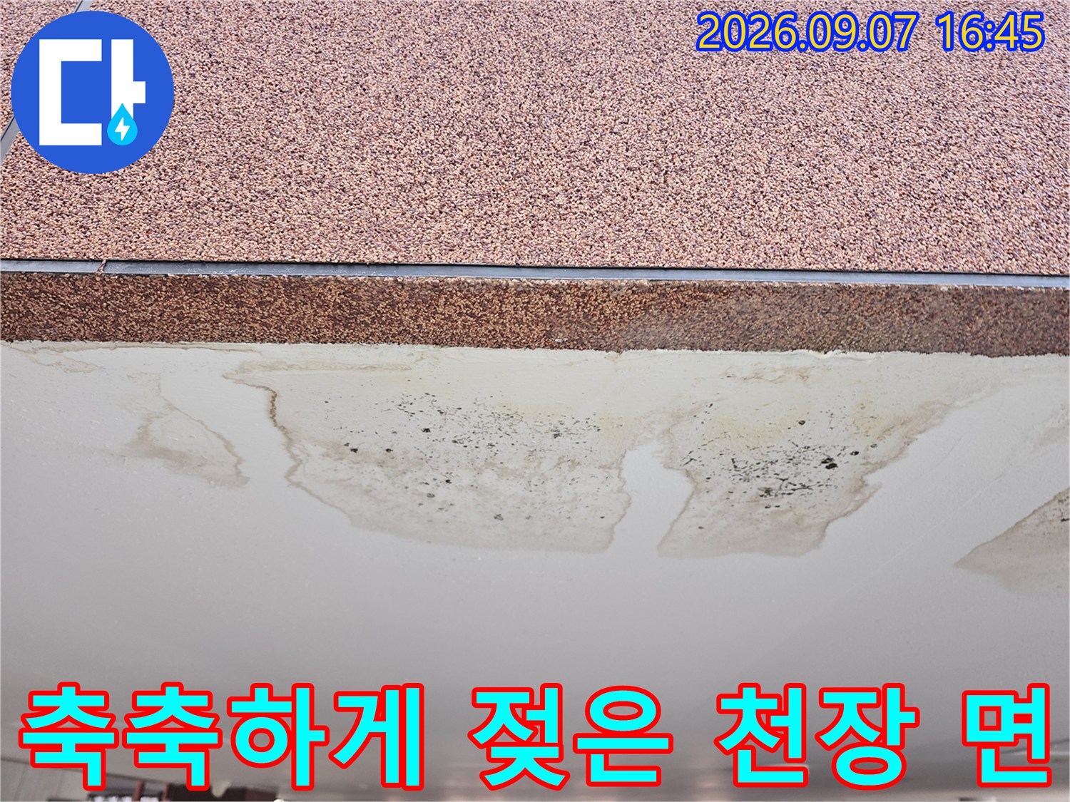 넓게 퍼진 물 얼룩과 어두운 색으로 변한 천장 누수 부위