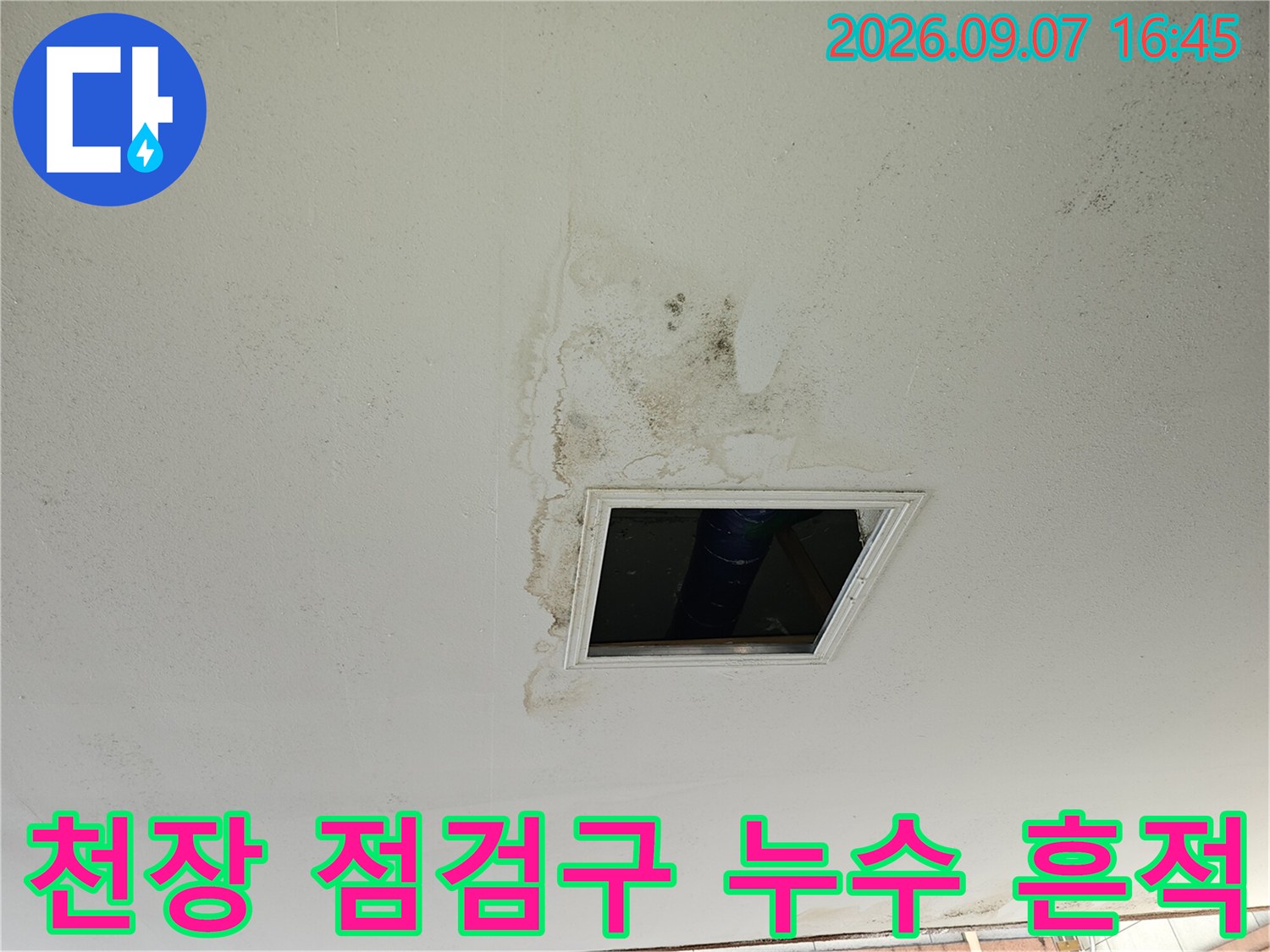 물에 젖어 변색된 천장 마감재와 점검구 주변의 오염 상태