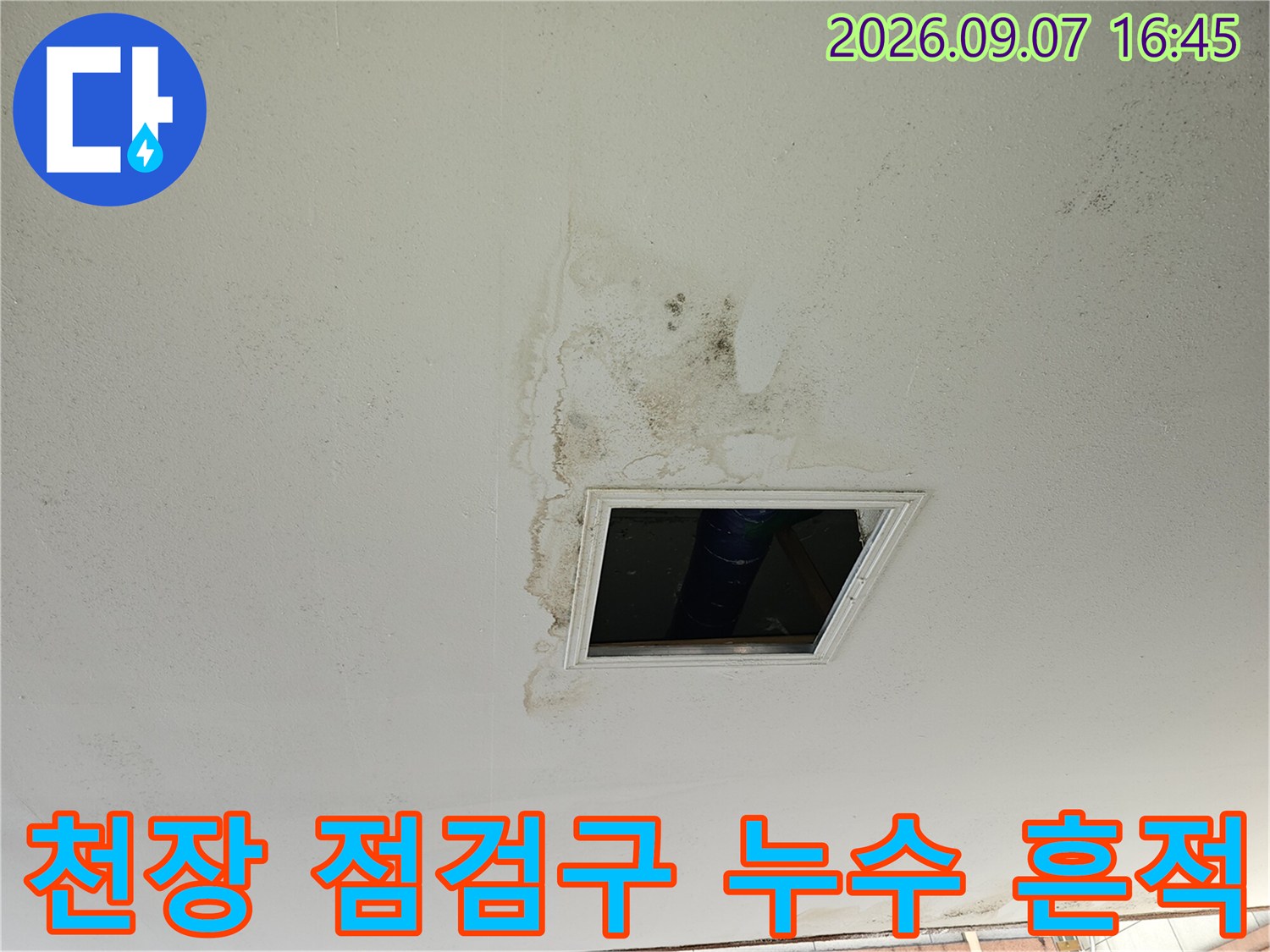 물에 젖어 변색된 천장 마감재와 점검구 주변의 오염 상태
