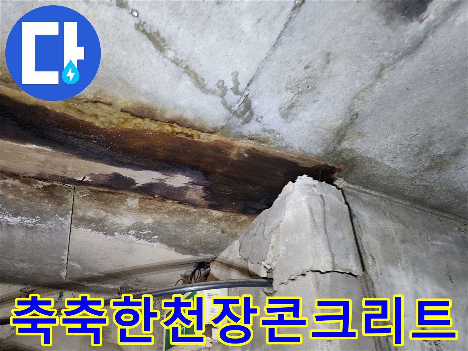 연천 전곡 빌라-지하 천장의 심한 누수 얼룩 및 습기 상태