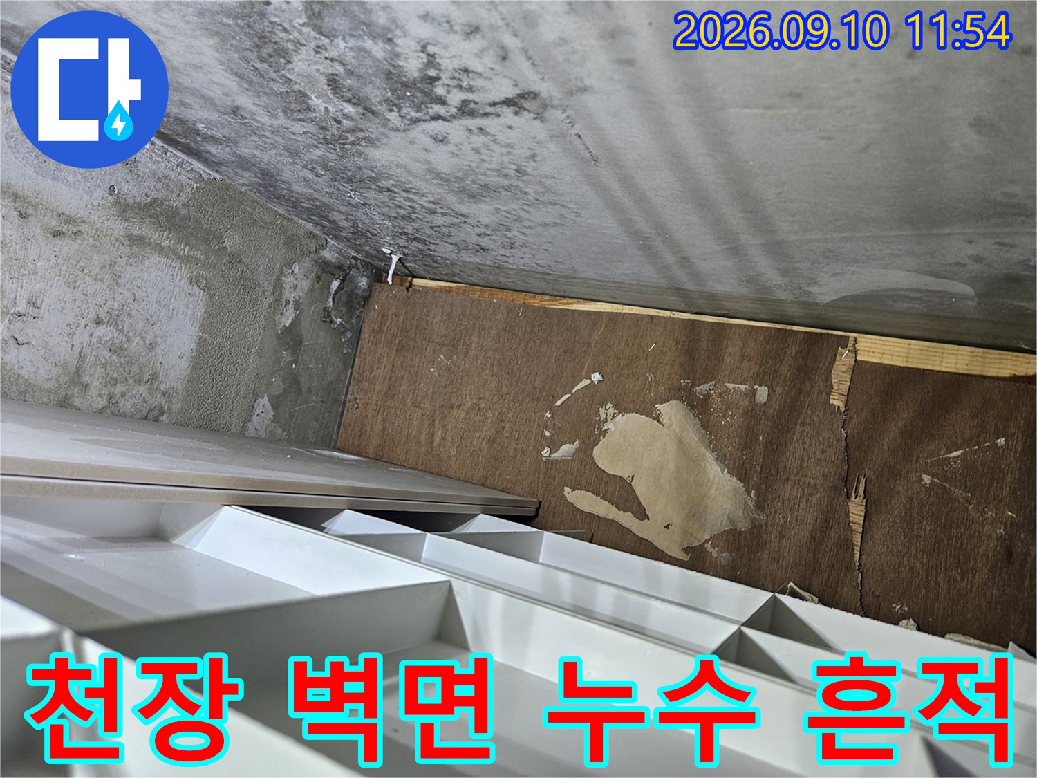 물기가 스며든 천장 합판과 젖은 콘크리트 벽면 상태