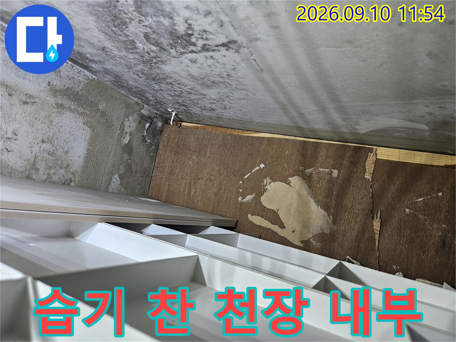 물기에 젖어 변색된 천장 합판과 벽지 얼룩 부위