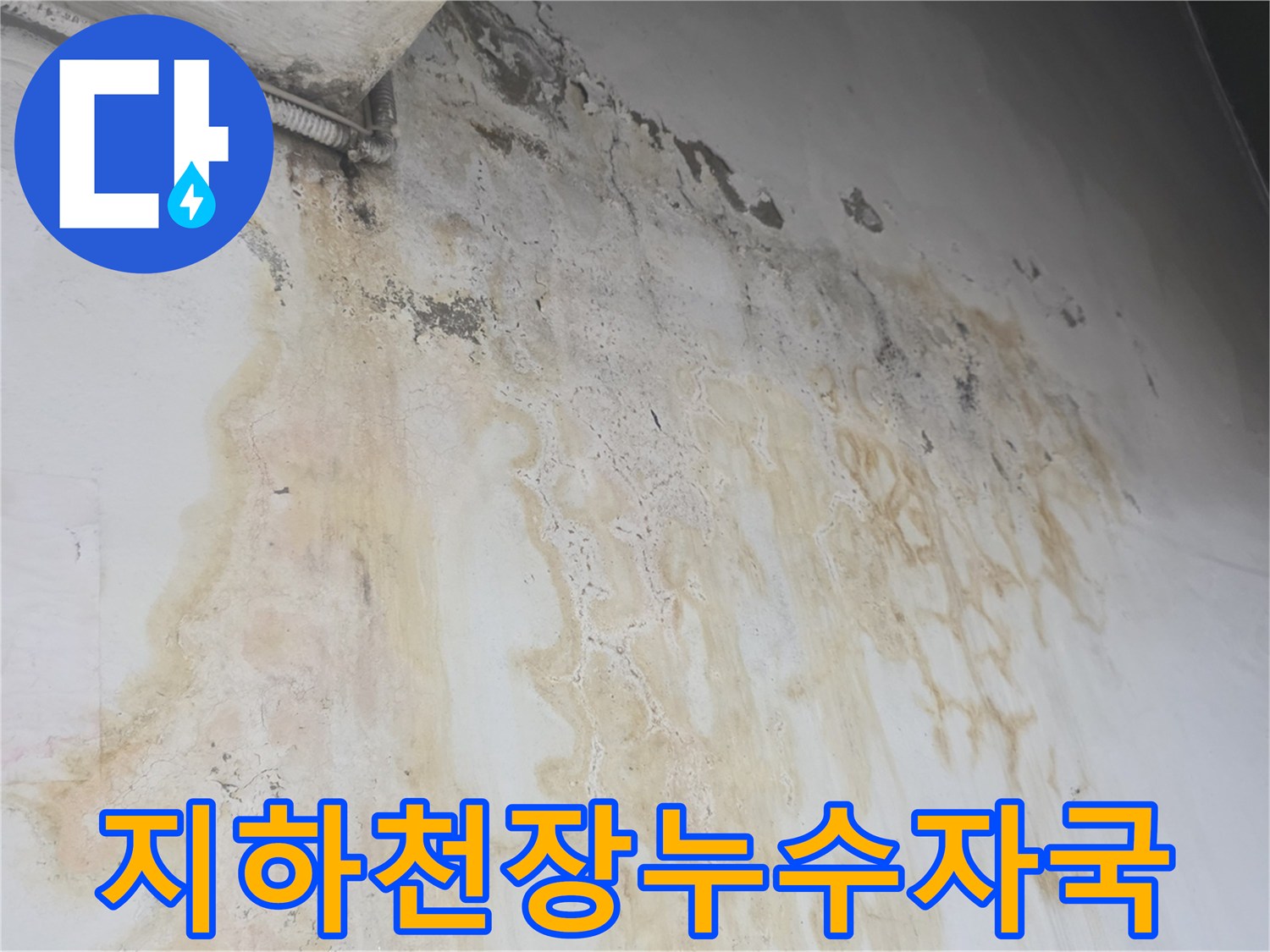 물길을 따라 오염된 지하 계단실 천장 벽면 모습