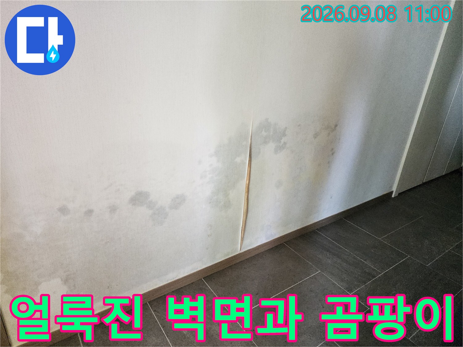 누수로 인해 얼룩지고 곰팡이가 발생한 벽면 하단부