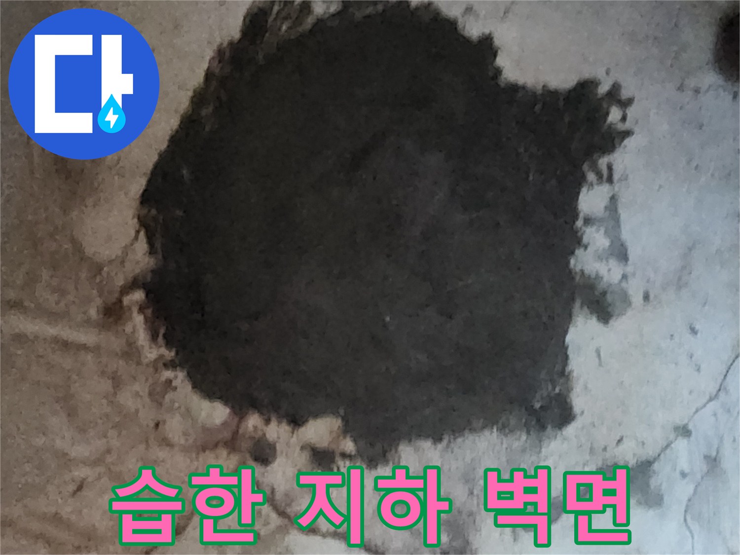 검은색 곰팡이가 발생한 지하실 벽면-누수 피해 상태
