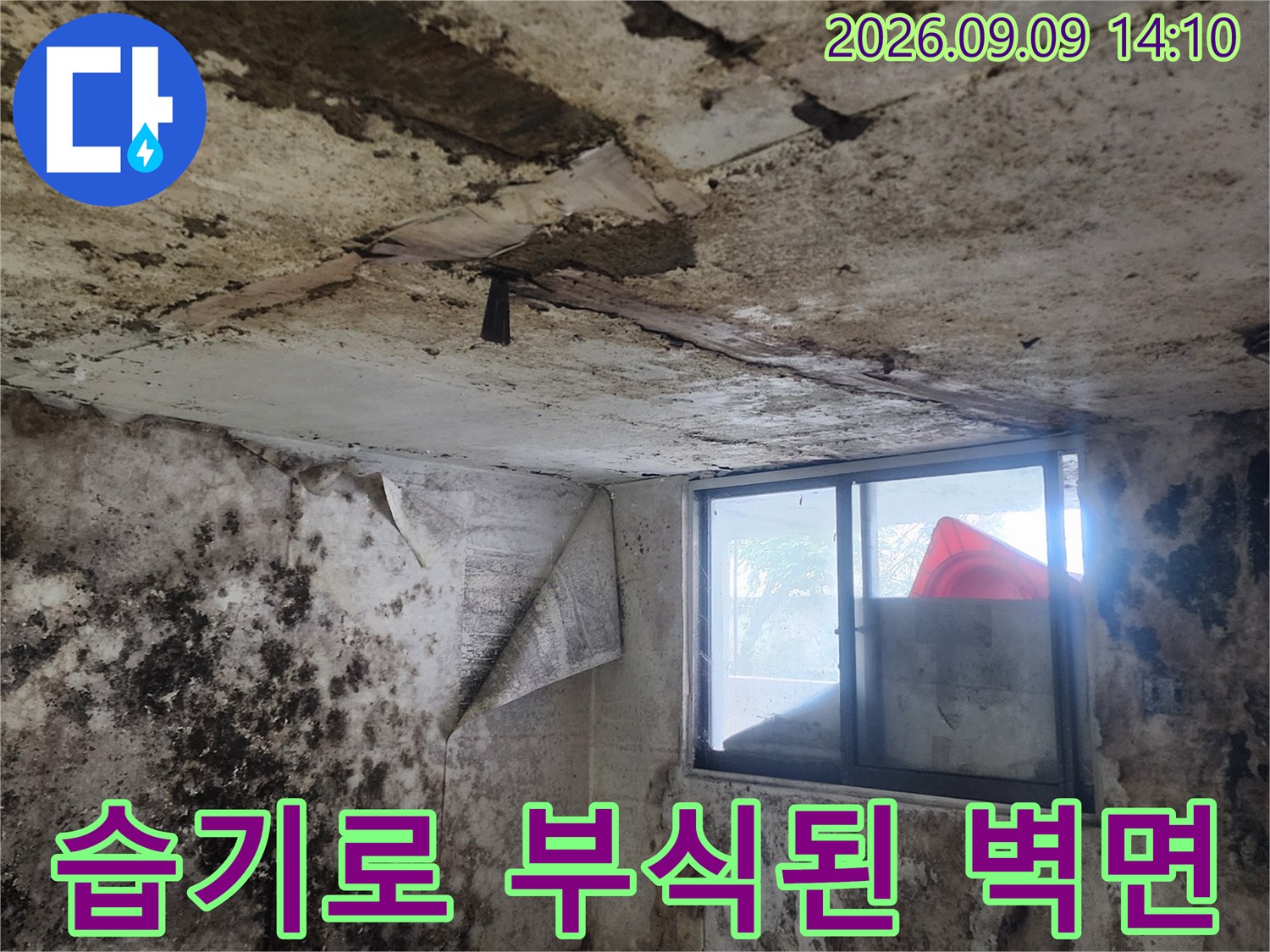 누수 발생으로 인해-심하게 오염되고 부식된 지하실 벽면 모습입니다.