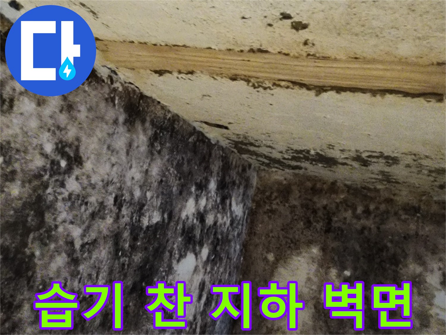 누수로 인해 곰팡이가 발생한 서초구 염곡동 지하실