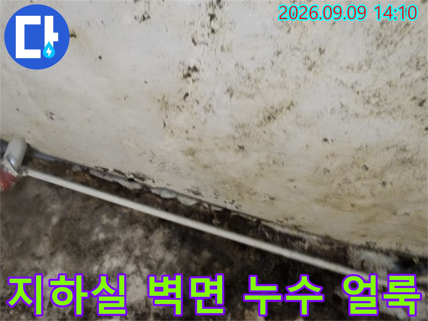 누수로 인해 변색된-지하실 천장과 벽면의 곰팡이 현상