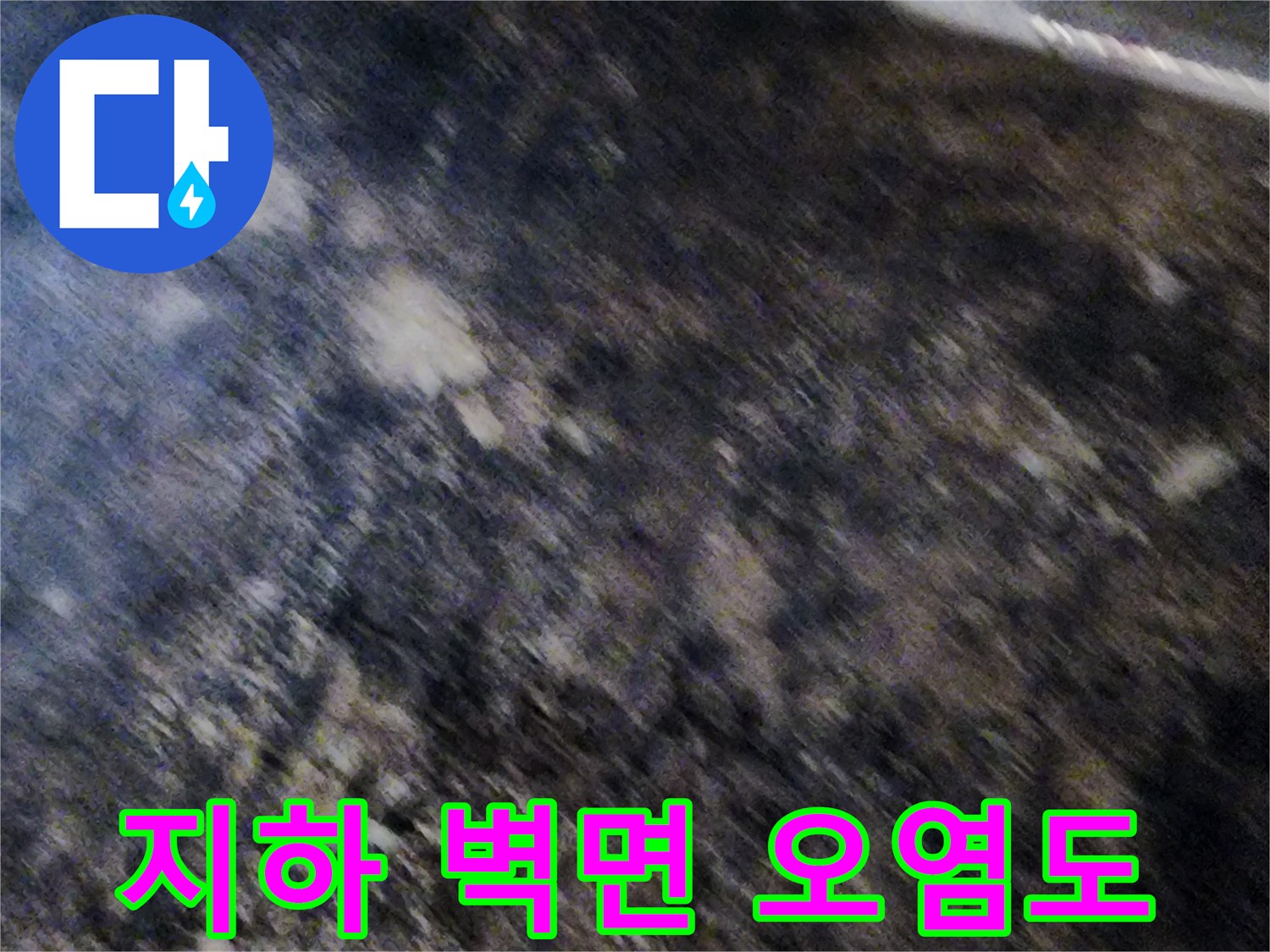 물샘으로 인해 곰팡이가 번진 지하실 벽면 내부 모습