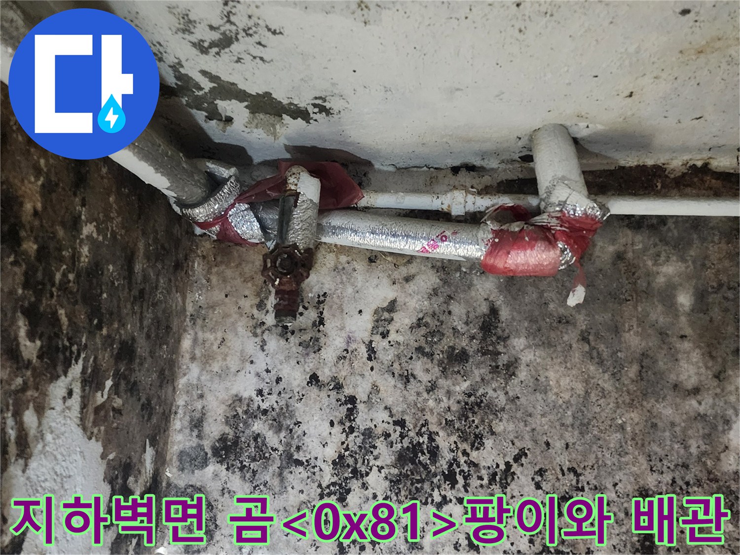 서초구 염곡동 지하실 벽면에 번진 곰팡이와 노후된 배관 모습