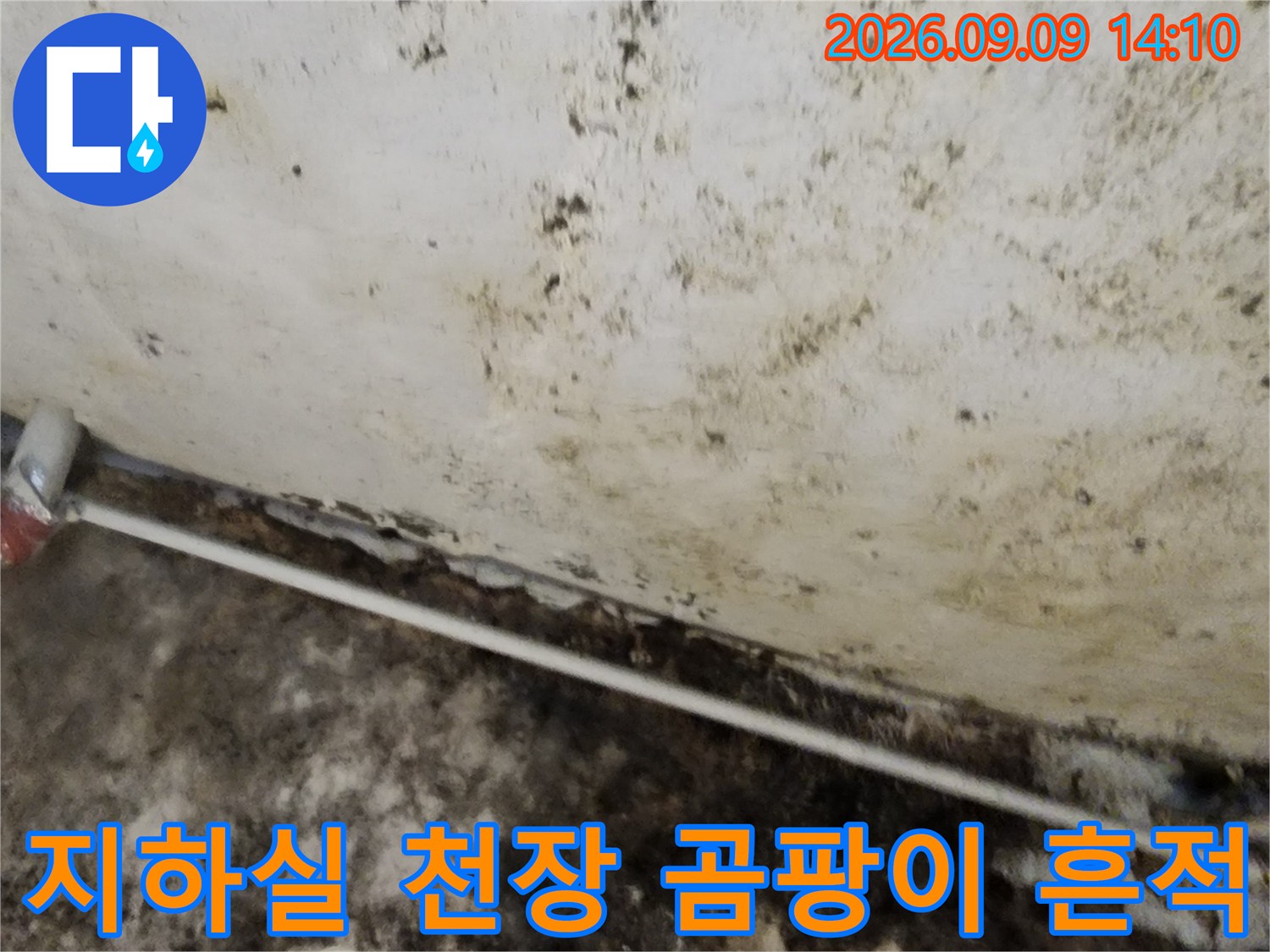 서초구 염곡동 지하실 천장의 심한 곰방이와 누수 얼룩 상태