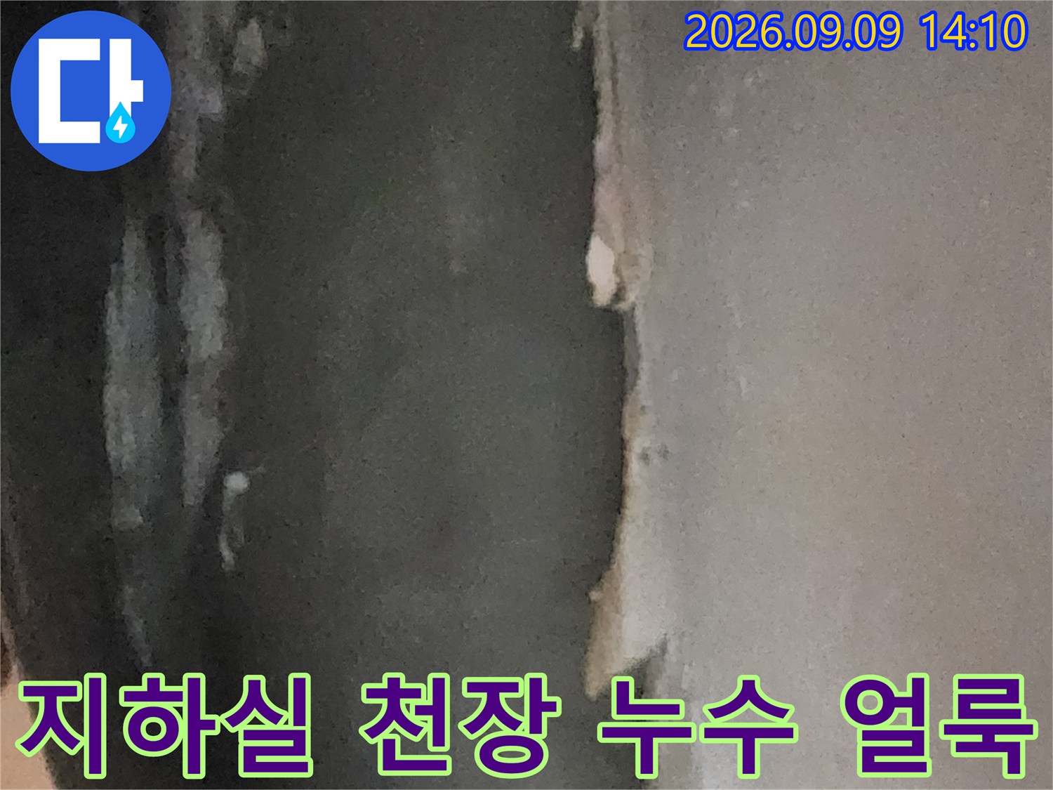 서초구 염곡동 지하실 천장의 심한 누수 흔적과 곰팡이 상태