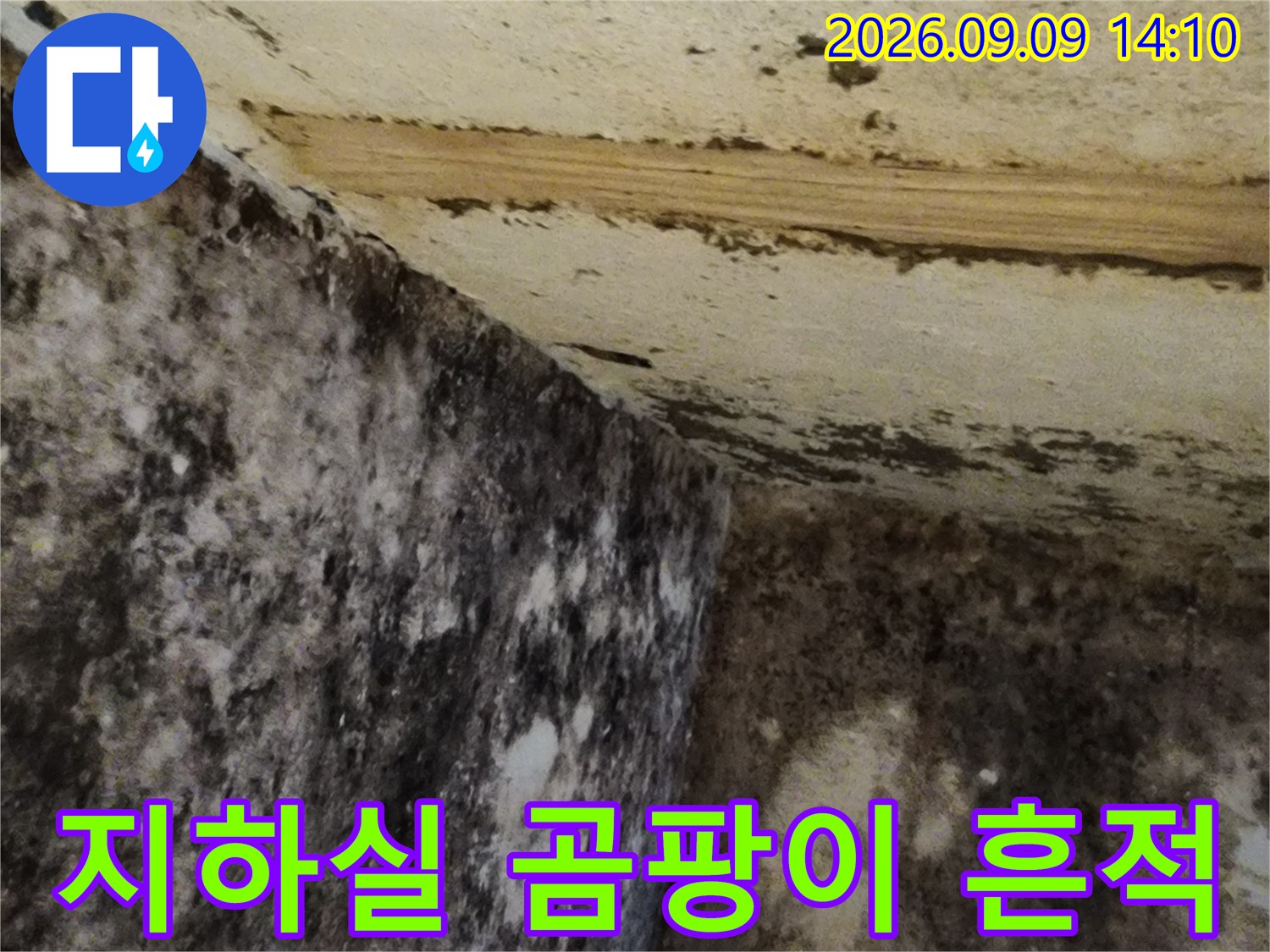 서초구 염곡동 현장-지하실 벽면과 바닥에 발생한 심한 곰팡이와 습기 상태