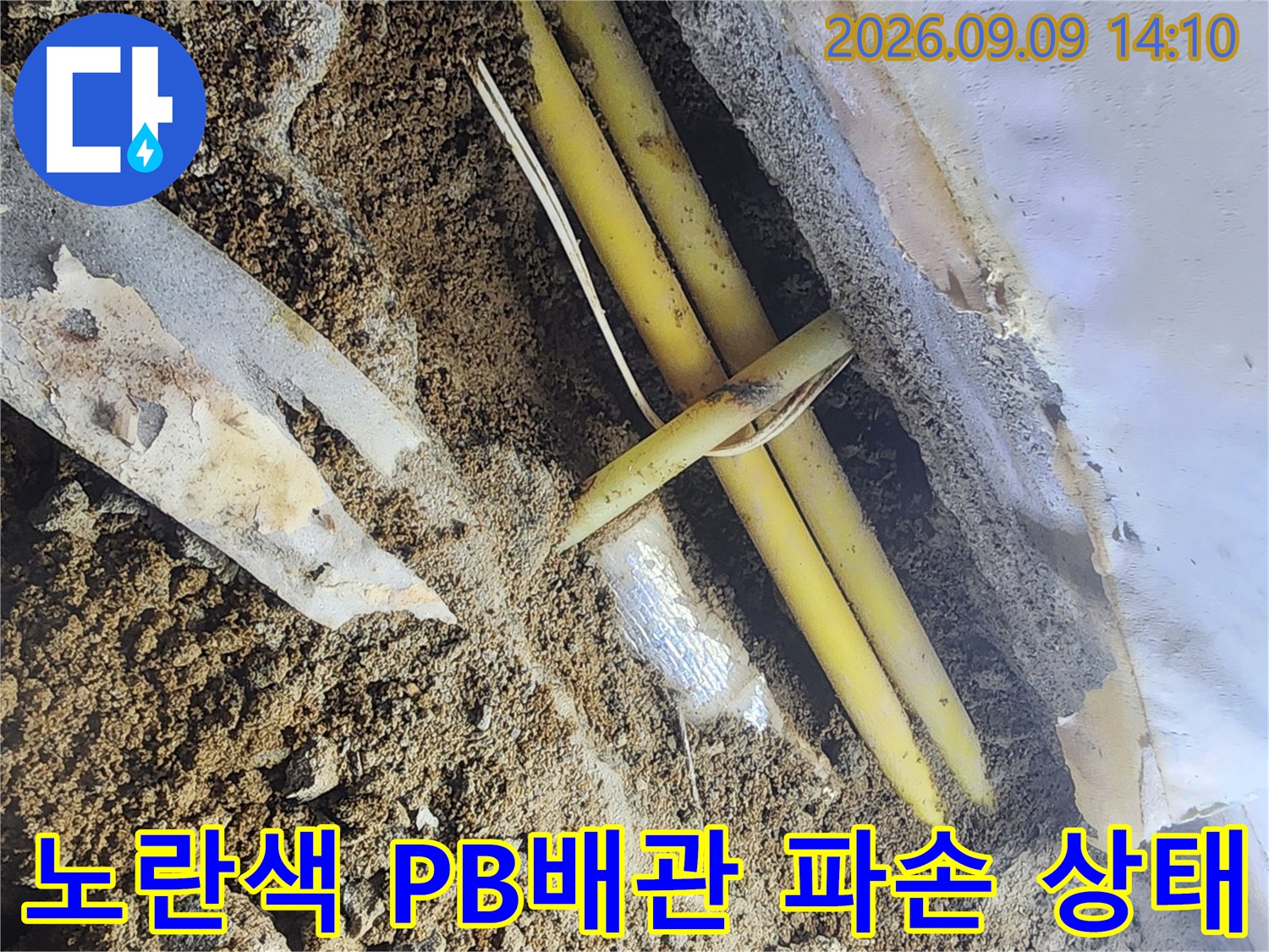 서초구 염곡동 현장의 노란색 PB배관 파손 부위 확인