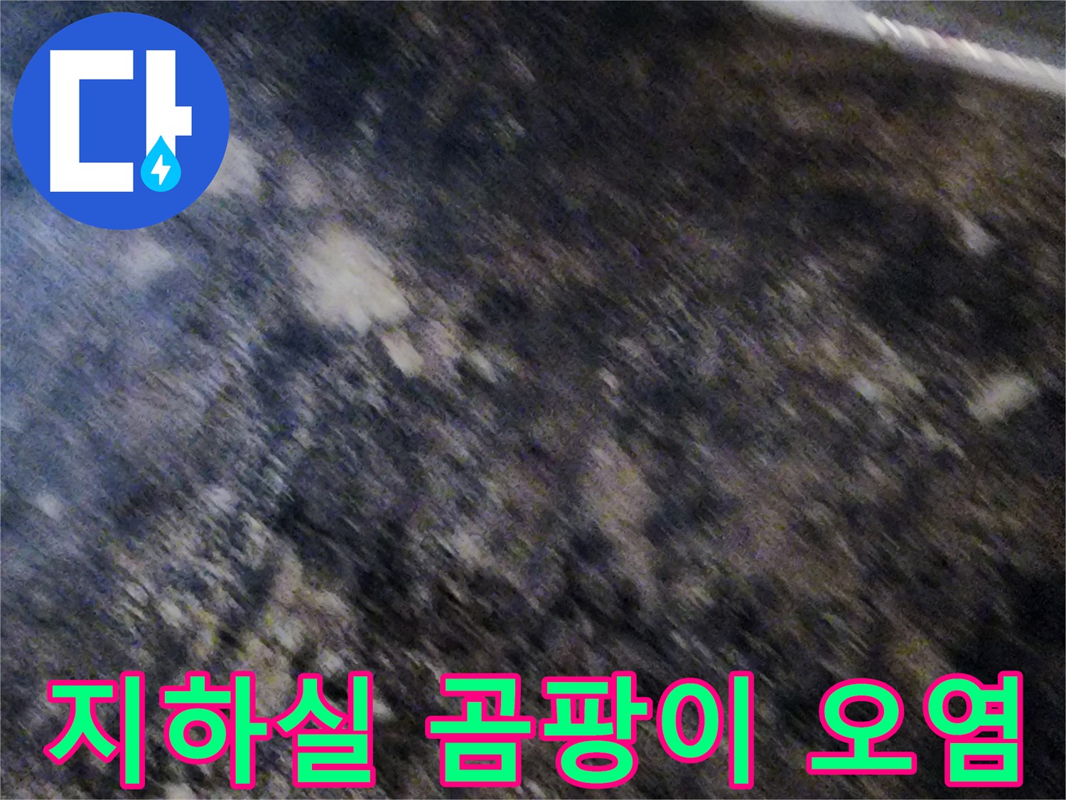 습기 침투로 인한 지하실 벽면의 곰팡이 발생