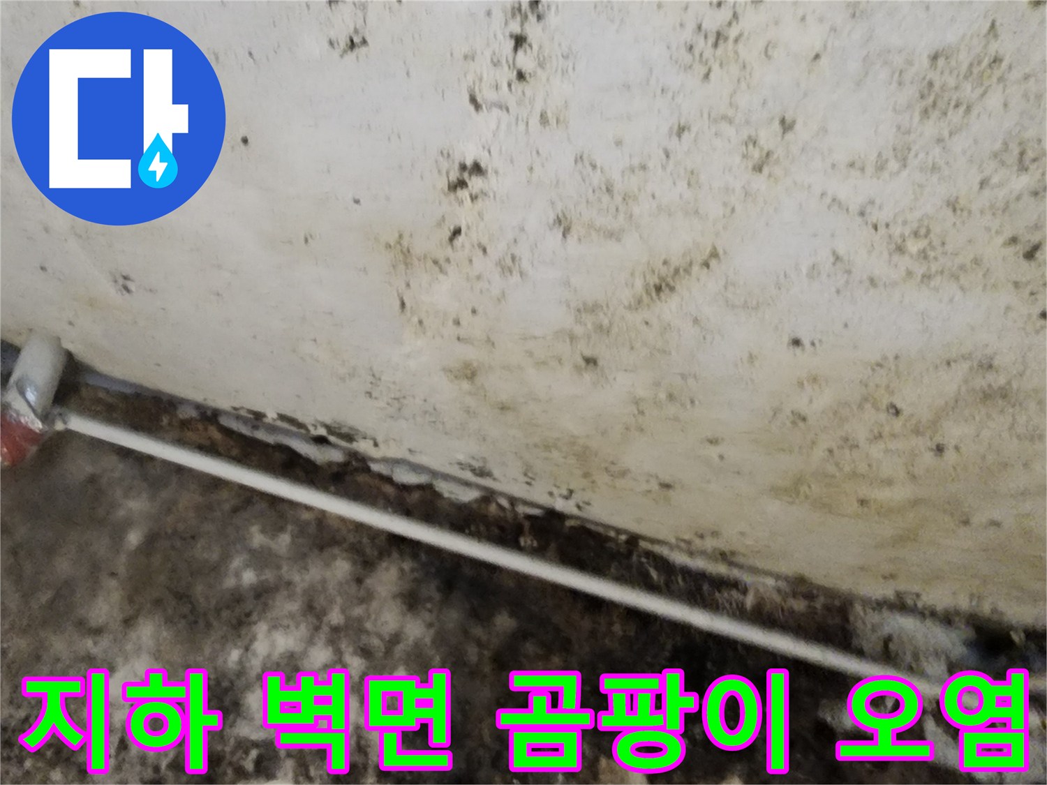 습기로 인해 검게 변한 지하실 벽면과 오염된 마감재 상태