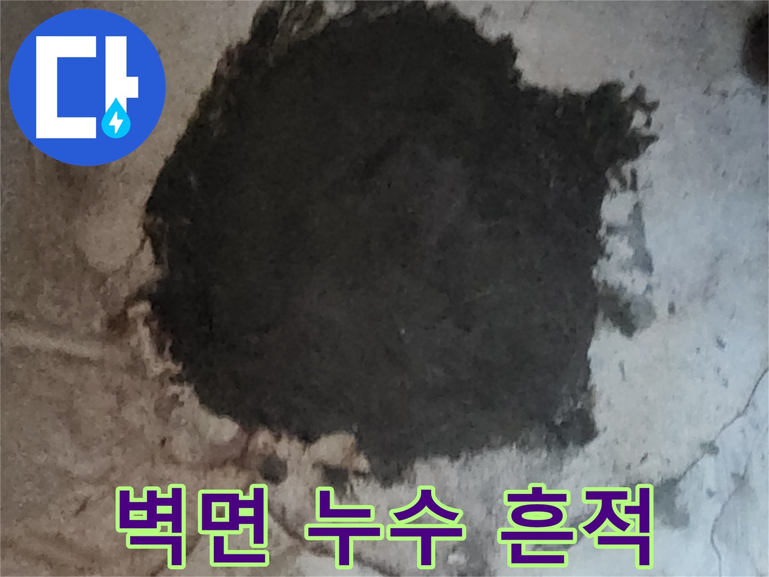 습기로 인해 변색되고 곰팡이가 발생한 지하실 벽체