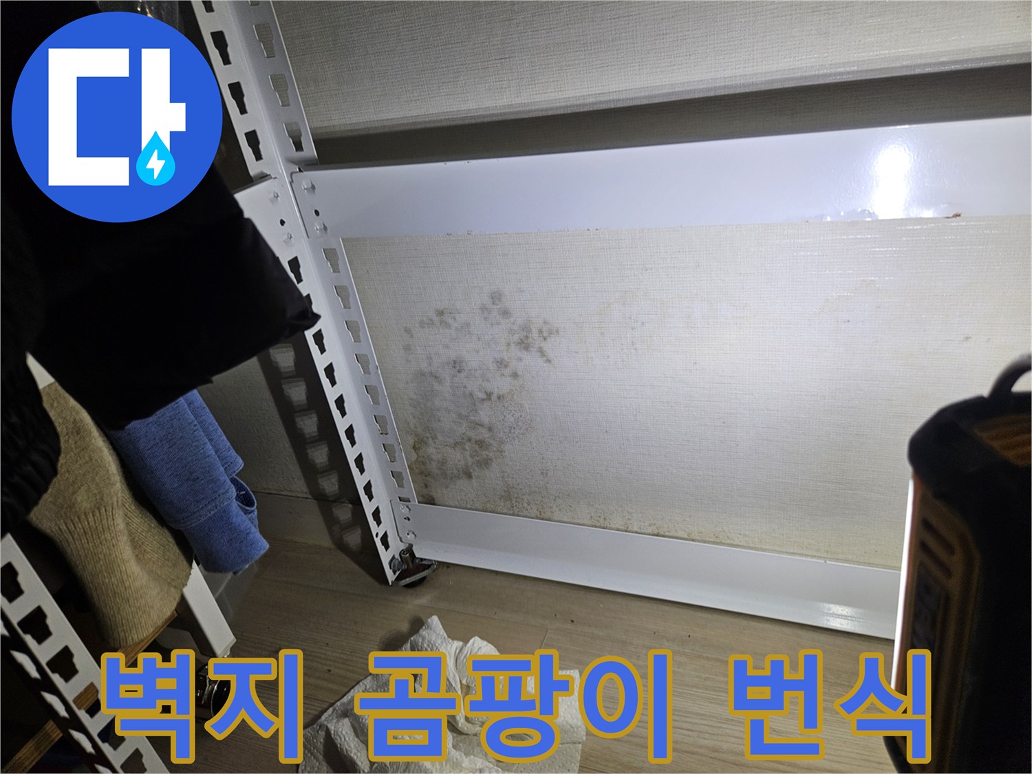 벽지 하단에 발생한-곰팡이와 얼룩 부위