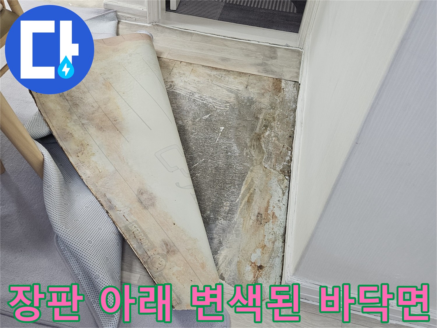 장판을-걷어낸-후-드러난-바닥의-심한-변색과-습기흔적