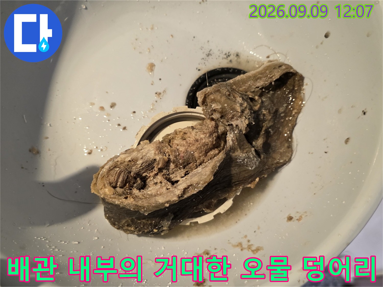 머리카락과 슬러지가 뒤섞인 배관 내 퇴적물