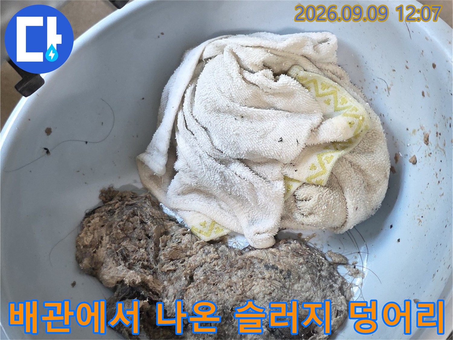 배관 세척 작업 후 수거된 머리카락과 오염물질 덩어리