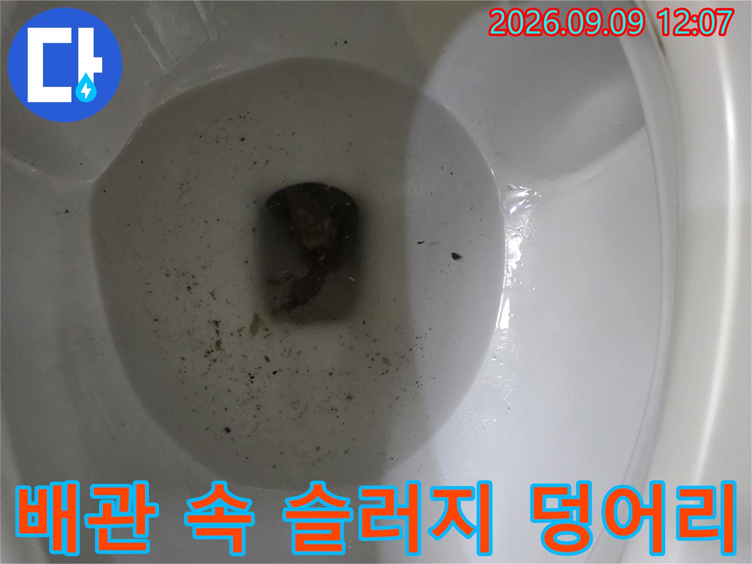 배수구 안쪽 배관에 쌓인 검은색 오염물과 슬러지